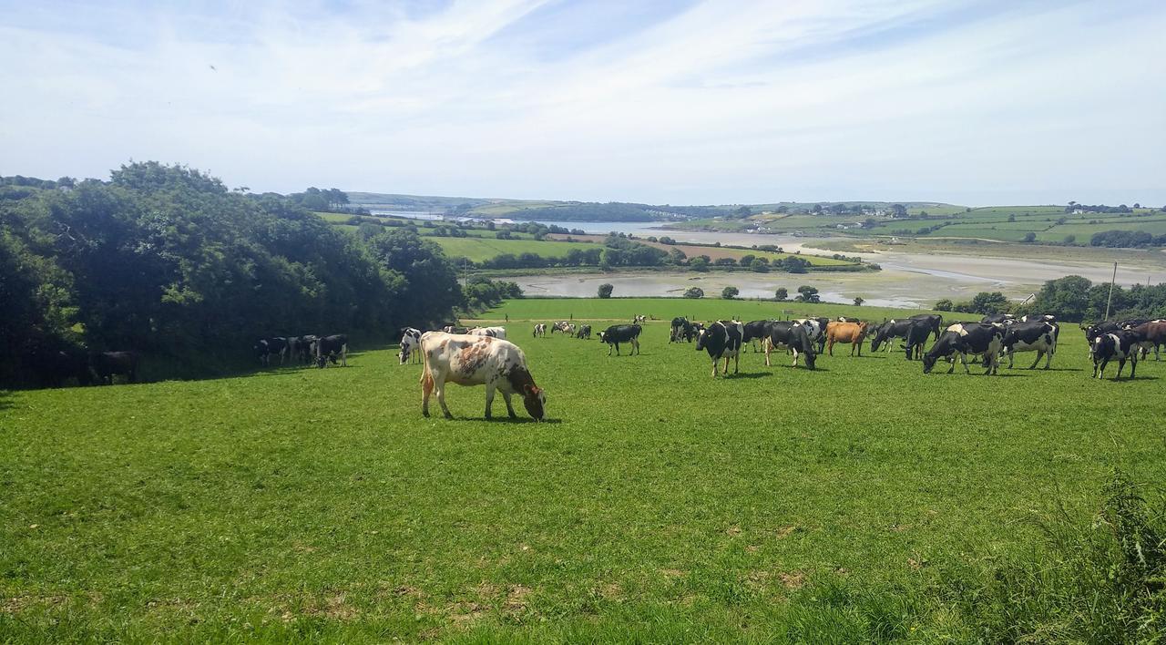 Bed & Breakfast Seafield Kilbrittain